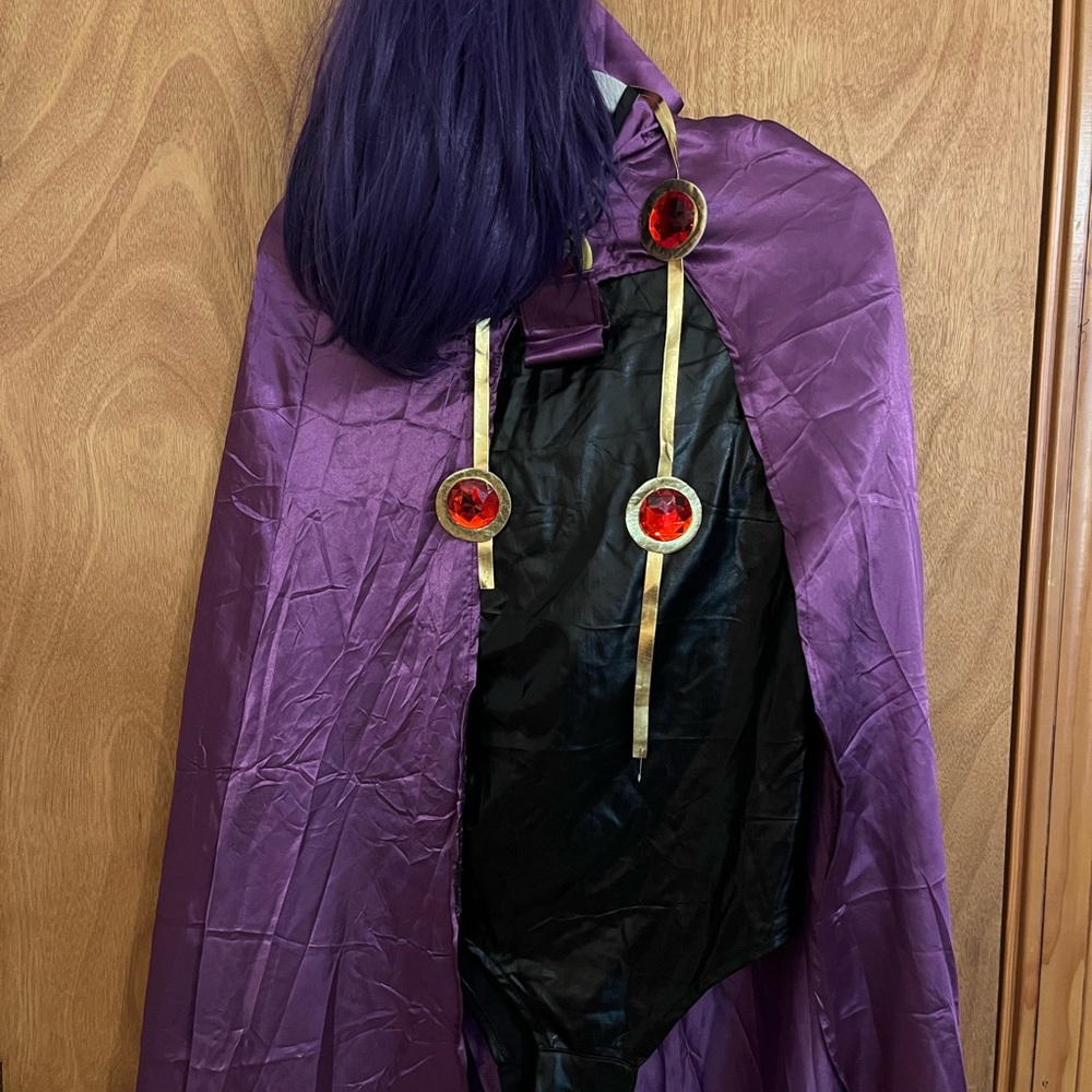 Raven Teen Titans Costume- Adult